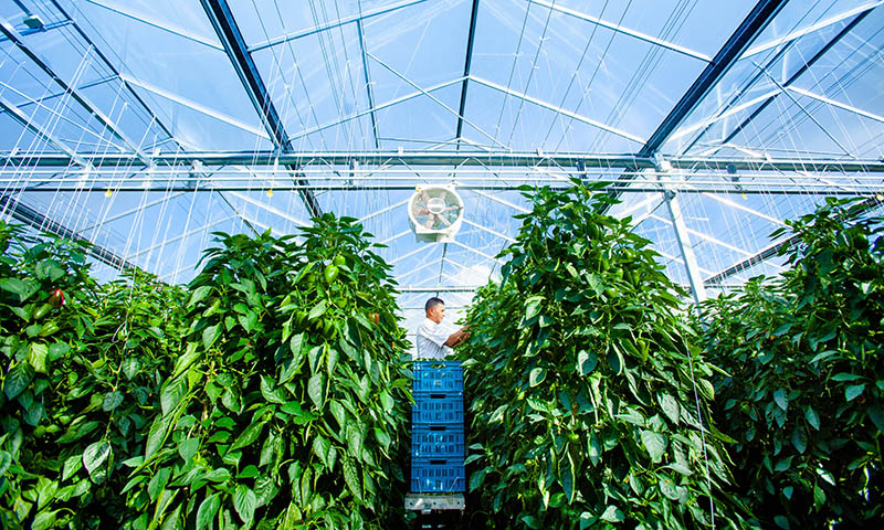 Dagtocht Agriport