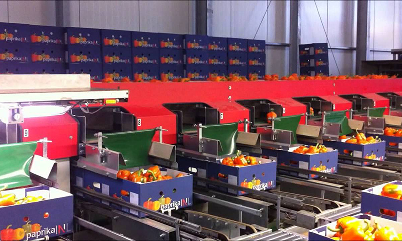 Dagtocht Agriport afbeelding 2