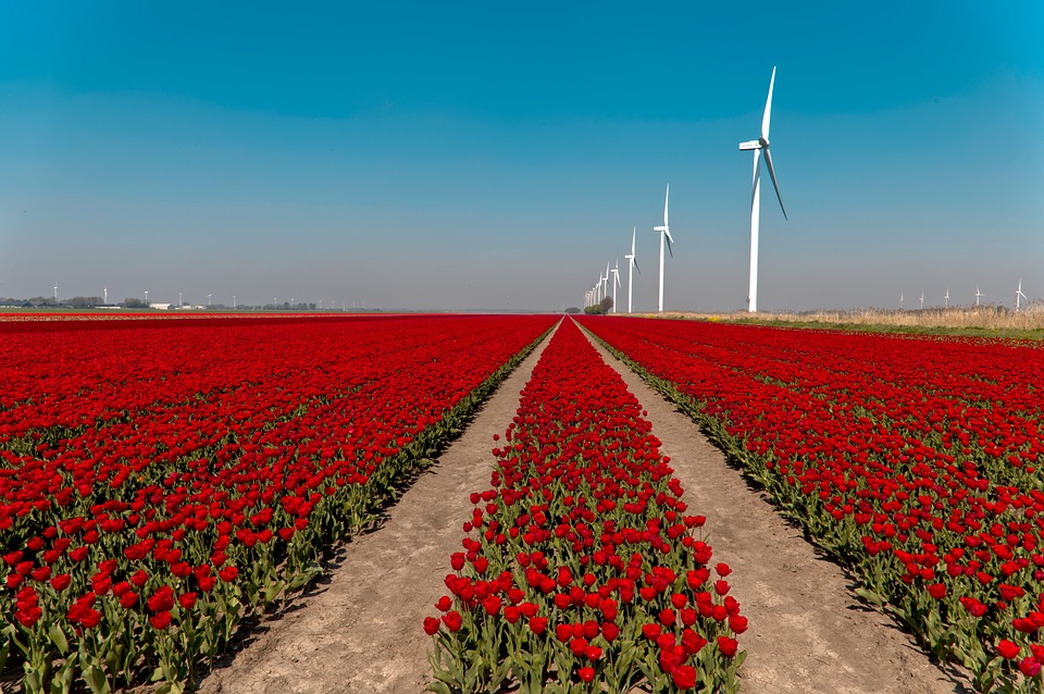 Dagtochten met Veenstra Reizen