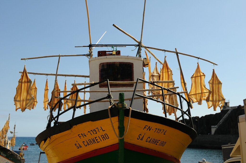 Groepsreis Madeira met Veenstra Reizen