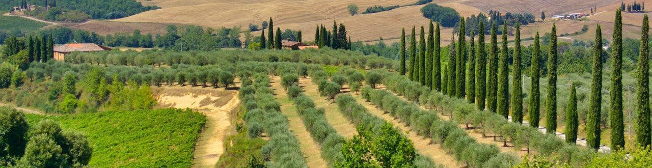 Rondreis Toscane 14 dagen