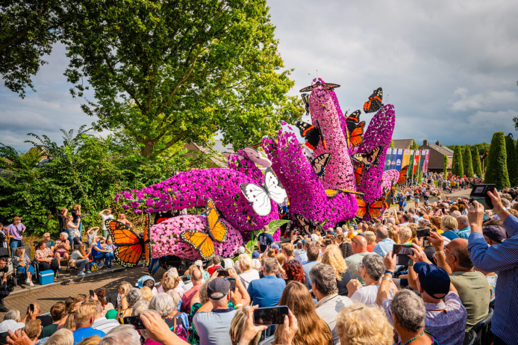 Dagtocht Dahliareuzen Sint Jansklooster